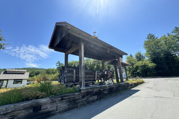 1 Quechee Gorge Village - 8